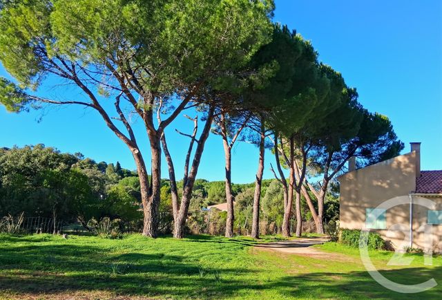 Maison &agrave; vendre - 6 pi&egrave;ces - 150 m2 - Montegrosso - 202 - CORSE