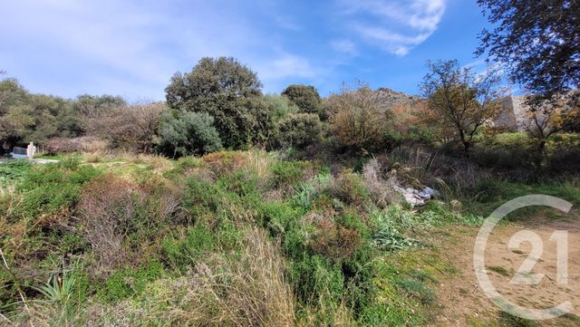 Terrain &agrave; vendre - 4100 m2 - Montegrosso - 202 - CORSE