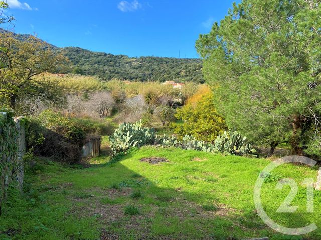 Terrain à vendre - 3370 m2 - Santa Reparata Di Balagna - 202 - CORSE