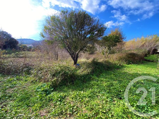 Terrain &agrave; vendre - 3370 m2 - Santa Reparata Di Balagna - 202 - CORSE