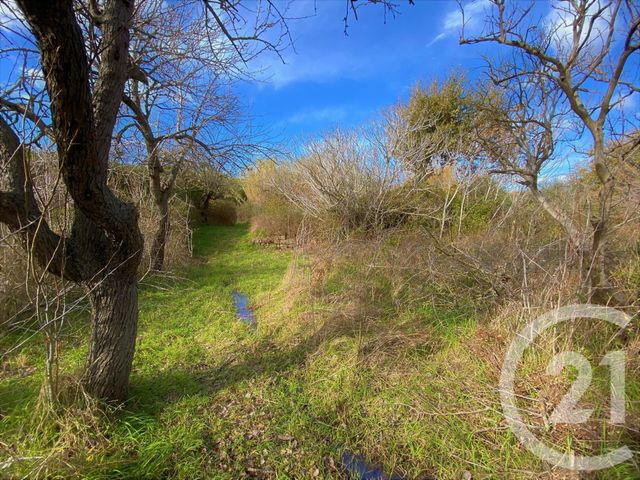 Terrain &agrave; vendre - 3370 m2 - Santa Reparata Di Balagna - 202 - CORSE