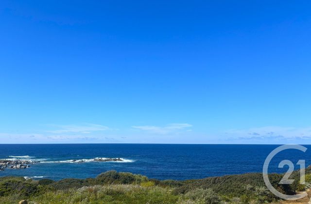 Maison &agrave; vendre - 6 pi&egrave;ces - 254 m2 - Corbara - 202 - CORSE