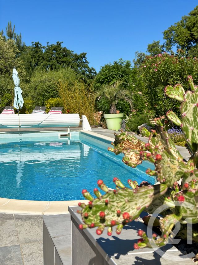 Maison &agrave; vendre - 7 pi&egrave;ces - 145,84 m2 - Calenzana - 202 - CORSE