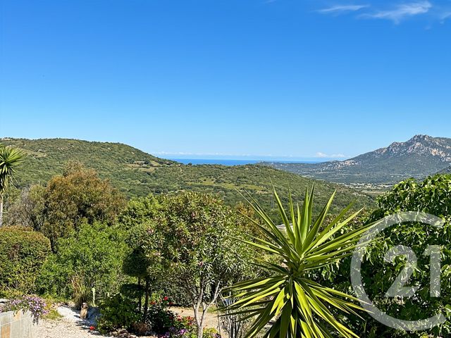 Maison &agrave; vendre - 7 pi&egrave;ces - 145,84 m2 - Calenzana - 202 - CORSE