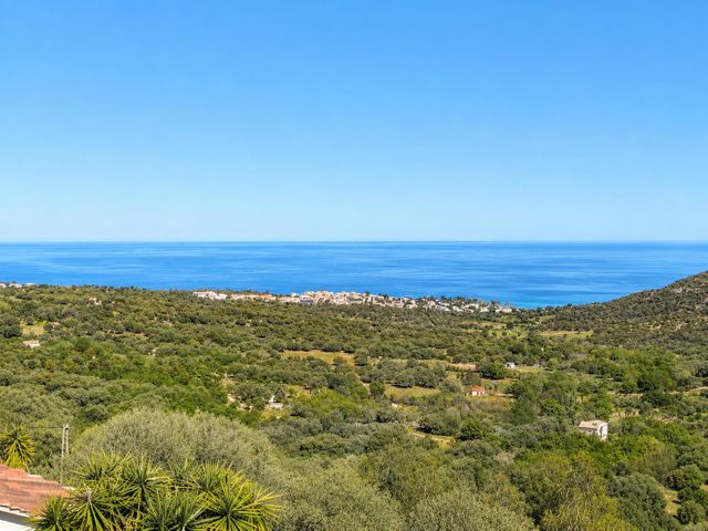 Maison &agrave; vendre - 8 pi&egrave;ces - 242,28 m2 - Monticello - 202 - CORSE